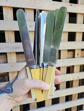 Set Of 10 Vintage 70s Dinner Knives with Bakelite Handles